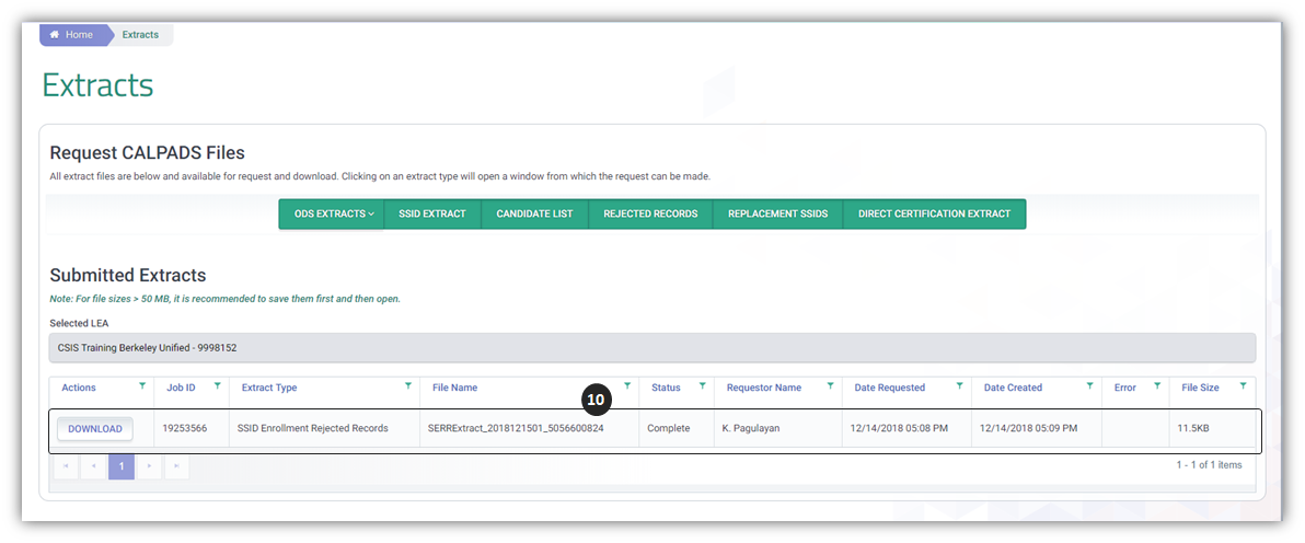 Rejected Records Extract
